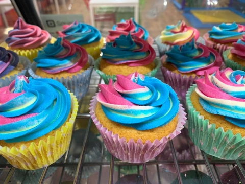 Caterpillars Mildura - Whitsundays Accommodation 0