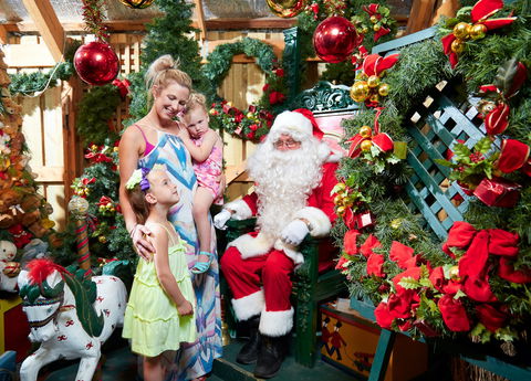 Christmas Tree Farm - Whitsundays Accommodation 2