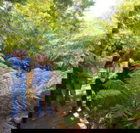 Endeavour Fern Gully Walks - Whitsundays Accommodation