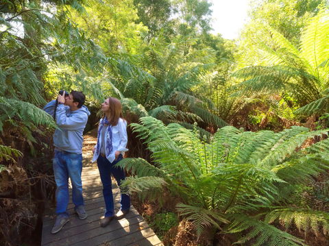 Endeavour Fern Gully Walks - Whitsundays Accommodation 0