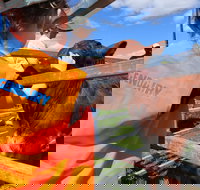 Farm Visit  Dungog - Whitsundays Accommodation