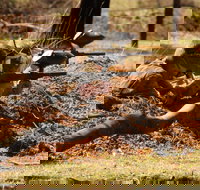 Freycinet Paintball and Campground - Whitsundays Accommodation