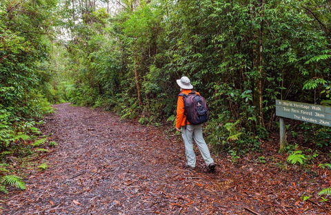 Gibraltar-Washpool World Heritage Walk - Whitsundays Accommodation 0