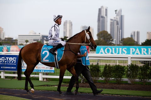 Gold Coast Turf Club - Whitsundays Accommodation 2