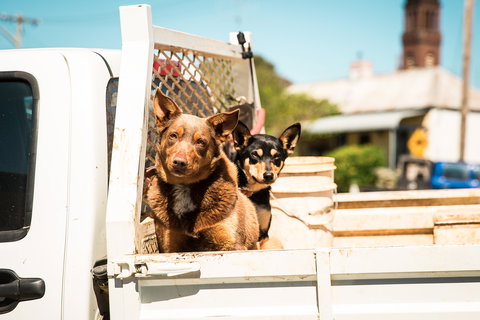 Harden Murrumburrah - Whitsundays Accommodation 0