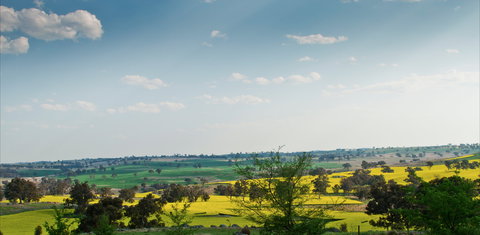 Harden Murrumburrah - Whitsundays Accommodation 1