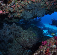 Hutchinson Shoal Dive Site - Whitsundays Accommodation
