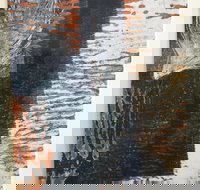 Lighthouse View - Whitsundays Accommodation