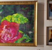 Macleay Valley Community Art Gallery - Whitsundays Accommodation
