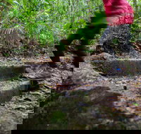 Maiala - Whitsundays Accommodation