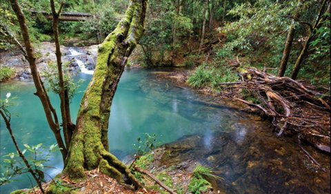 Mobong Walking Track - Whitsundays Accommodation 0