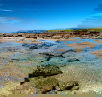 Moonee Beach trail - Whitsundays Accommodation