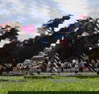 Moruya Racecourse - Whitsundays Accommodation