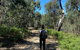 Mt Everard Circuit - thumb 0