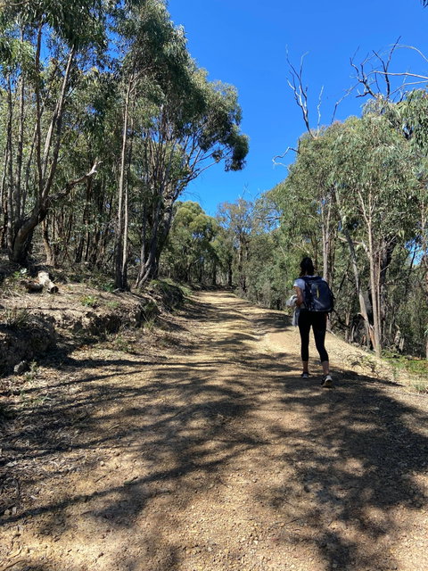 Mt Everard Circuit - Whitsundays Accommodation 2