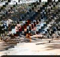 Myponga Reservoir Trail - Whitsundays Accommodation