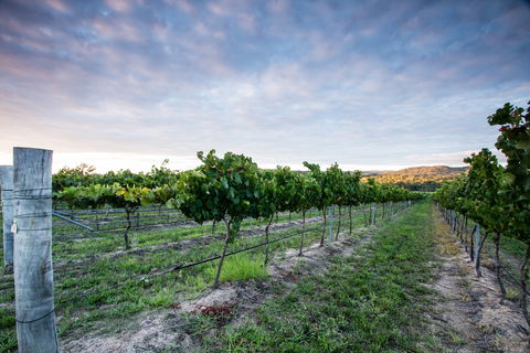 Nature And Foodies Trail - Whitsundays Accommodation 0