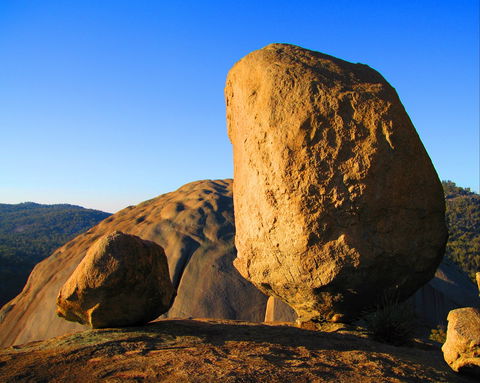 Nature And Foodies Trail - Whitsundays Accommodation 1