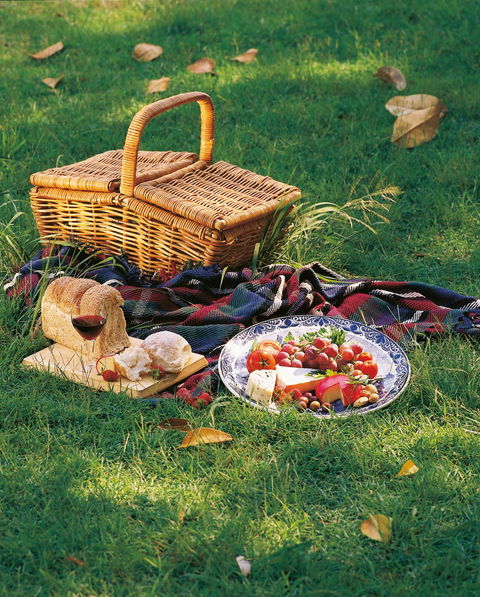 Nature And Foodies Trail - Whitsundays Accommodation 2