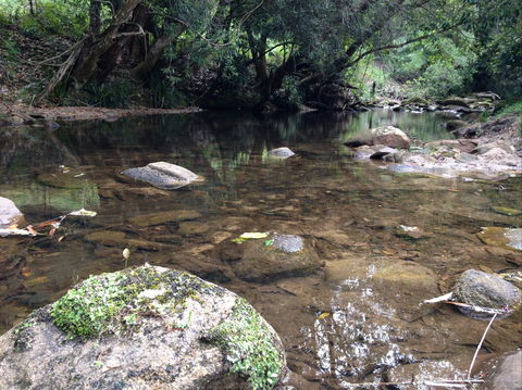 Otford Farm Horse Riding - Whitsundays Accommodation 2