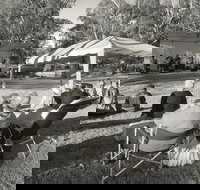 Pioneer Park - Whitsundays Accommodation