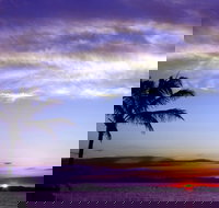 Quoin Island Retreat and Turtle Rehabilitation Centre - Whitsundays Accommodation