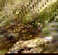 Sandy Creek Track - Whitsundays Accommodation