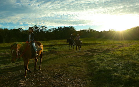 Scenic NSW Horse Riding Centre - Whitsundays Accommodation 0