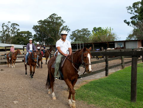 Scenic NSW Horse Riding Centre - Whitsundays Accommodation 1