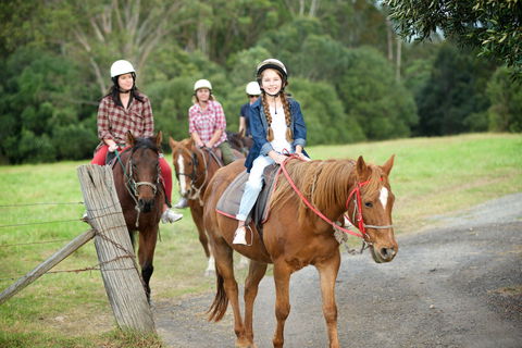 Scenic NSW Horse Riding Centre - Whitsundays Accommodation 2