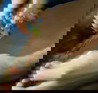 Simon Martin Whips  Leathercraft - Whitsundays Accommodation