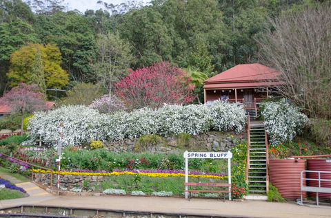Spring Bluff Railway Station - Whitsundays Accommodation 1