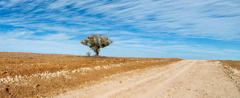 Sturts Steps Touring Route - Whitsundays Accommodation 0