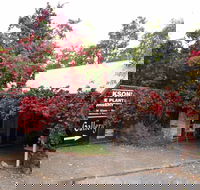 The Gallery Mt Macedon - Whitsundays Accommodation