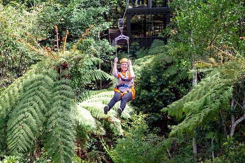 Illawarra Fly Treetop Adventures Treetop Walk Admission Ticket - Whitsundays Accommodation 2
