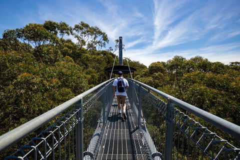 Illawarra Fly Treetop Adventures Treetop Walk Admission Ticket - Whitsundays Accommodation 0