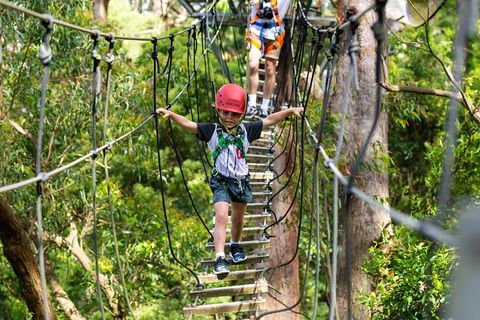 Illawarra Fly Treetop Adventures Treetop Walk Admission Ticket - Whitsundays Accommodation 3