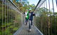 Illawarra Fly Treetop Adventures Treetop Walk Admission Ticket - thumb 7