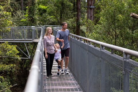 Illawarra Fly Treetop Adventures Treetop Walk Admission Ticket - Whitsundays Accommodation 1
