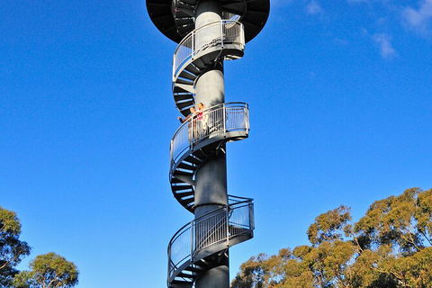 Illawarra Fly Treetop Adventures Treetop Walk Admission Ticket - Whitsundays Accommodation 5