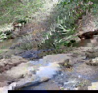 Bomaderry Creek Regional Park - Whitsundays Accommodation