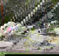 Maroochy Regional Bushland Botanic Garden - Whitsundays Accommodation