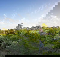 Mclaren Vale