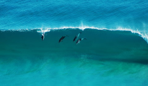 Sand Patch - Whitsundays Accommodation 1