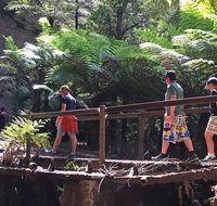 Glow Worm Tunnel Hike - Whitsundays Accommodation