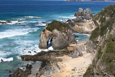 Narooma And Tilba Valley Private Tour - Whitsundays Accommodation 8