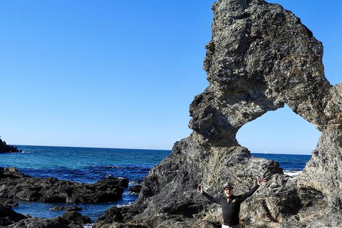 Narooma And Tilba Valley Private Tour - Whitsundays Accommodation 4