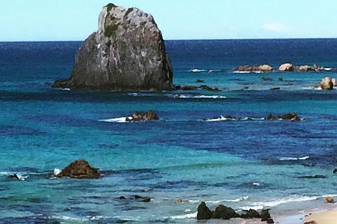 Narooma And Tilba Valley Private Tour - Whitsundays Accommodation 9