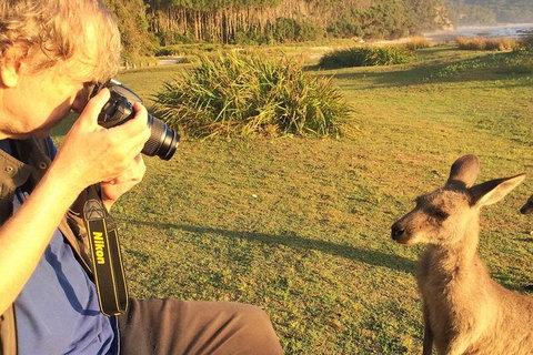 Highlights Of The Eurobodalla (half Day Private Tour) - Whitsundays Accommodation 2