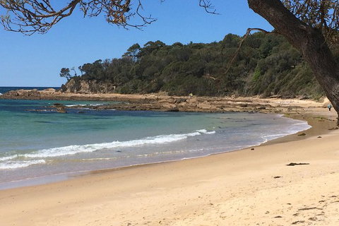 Highlights Of The Eurobodalla (half Day Private Tour) - Whitsundays Accommodation 5